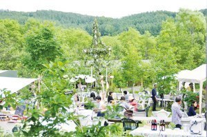 北の住まい設計社できらめく緑のサマーウィーク