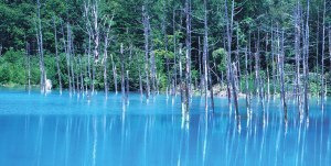 ホームページから予約で 宿泊費2,000円割引に