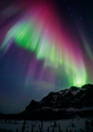 全天に踊るオーロラプラネタリウムで