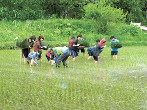 旭川の農業完全制覇! 子ども農業体験塾参加者募集