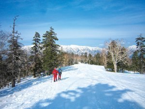 まだあと4メートルの積雪黒岳春の雪まつり