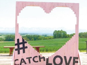 深山峠でアートと遊ぶみやま芸術祭