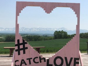 深山峠でアートと遊ぶ芸術祭絵になる瞬間見つけてね