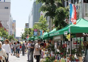 たいせつマルシェ、出店者を募集