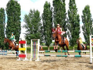 巧みな馬術を間近で年に一度のホースショー