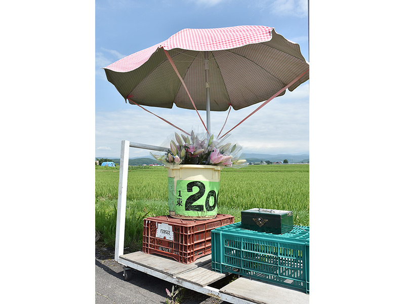 直売所の道々を挟んだ向かいには無人販売所。パラソルを差したレトロな雰囲気に和んじゃう。3～4輪で200円、5～6輪だと300円
