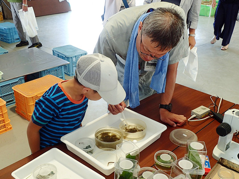 公開デーは生き物観察コーナーや家庭菜園の相談、圃場見学ツアー、苗当てクイズや土の塗り絵など企画がたくさん