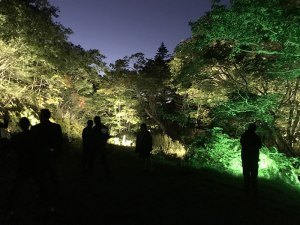 これぞ奇跡のイルミネート史上初の景色お見逃しなく