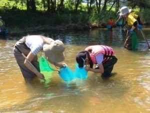ウチダザリガニ防除しよう親子で自然体験ツアー