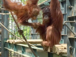 動物たちとのほっこり話飼育員さんが語ります