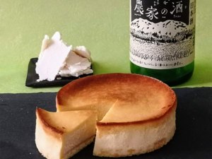 4月から新登場♥究極の酒粕チーズケーキ