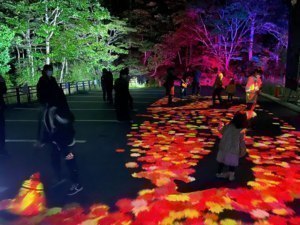 夜に浮かぶ幻想的な秋の色見頃を迎える層雲峡紅葉谷