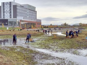 溢れる若い力で水面を綺麗に