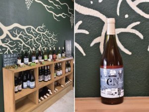 まりのワイン探訪③ワインもひとつの農産物