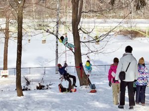 シバれる空気を楽しもう！公園内に雪の遊び場オープン