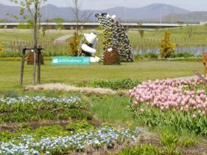 草花が躍動する春