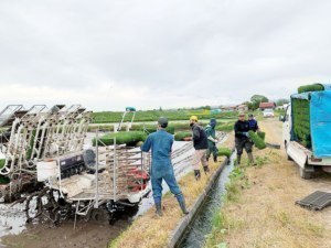 求人アプリ「デイワーク」美瑛町の働き手探しに一助