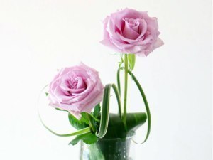 脱ワンパターン！大好きな花を新鮮に飾ろう