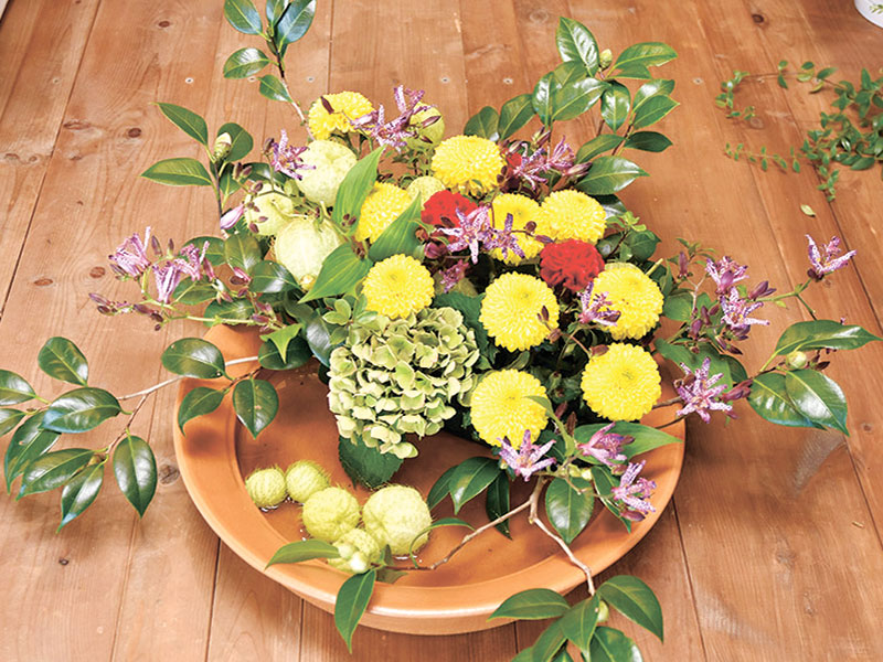 丸い形を生かして、リズミカルに