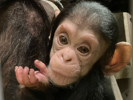 寄り添う親子の姿にジ～～～ン…