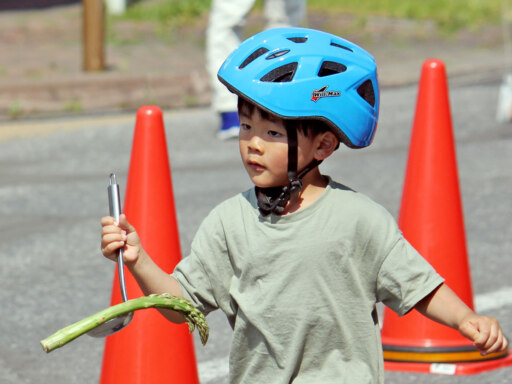 ワケありアスパラがあたるおもしろカプセルトイ