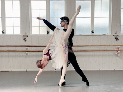 美しく、しなやかに舞う毎回完売の人気公演