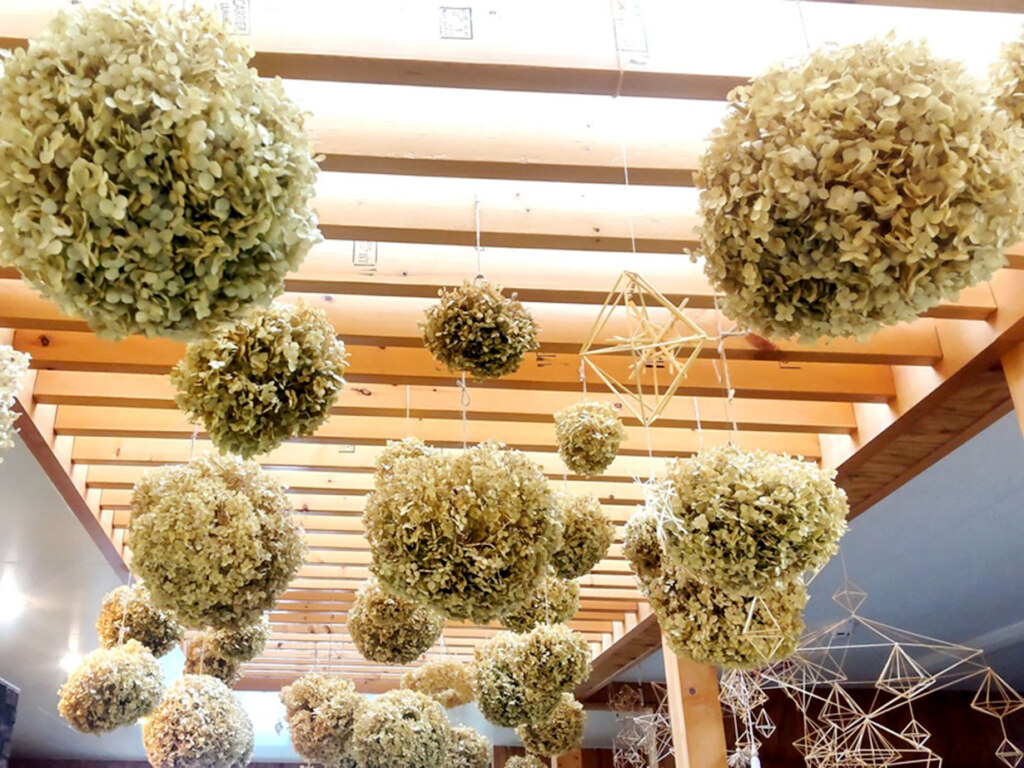 アナベルボール