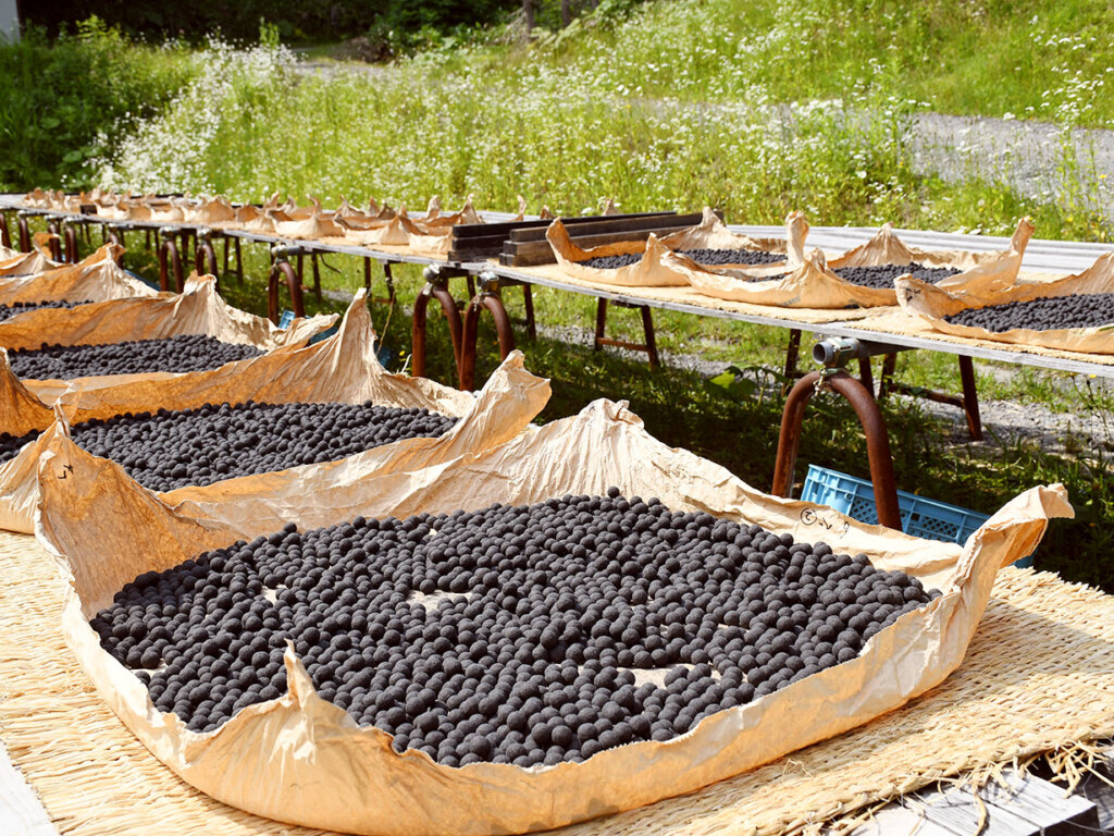 風に乗ってほんのりと火薬の匂いが漂う