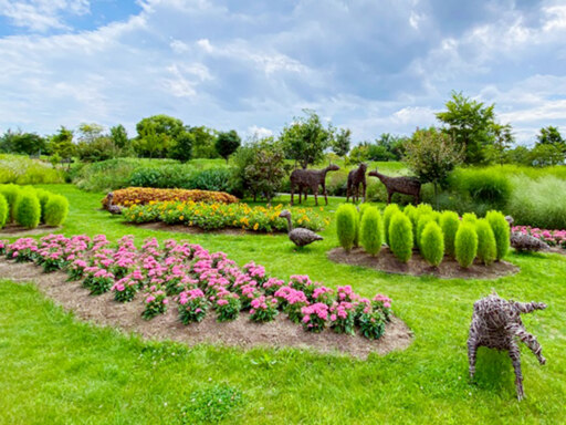 夏色に染まったお花のパレット