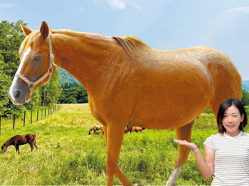 牧場を運営するオーナーの宇都宮さん。<br /><br />
ひき馬(お手入れ体験込30分)大人3,300円／子ども2,200円