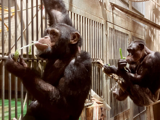 冬を元気に乗りきるヒケツは…