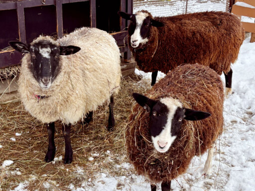 冬本番に向けて、準備は万端