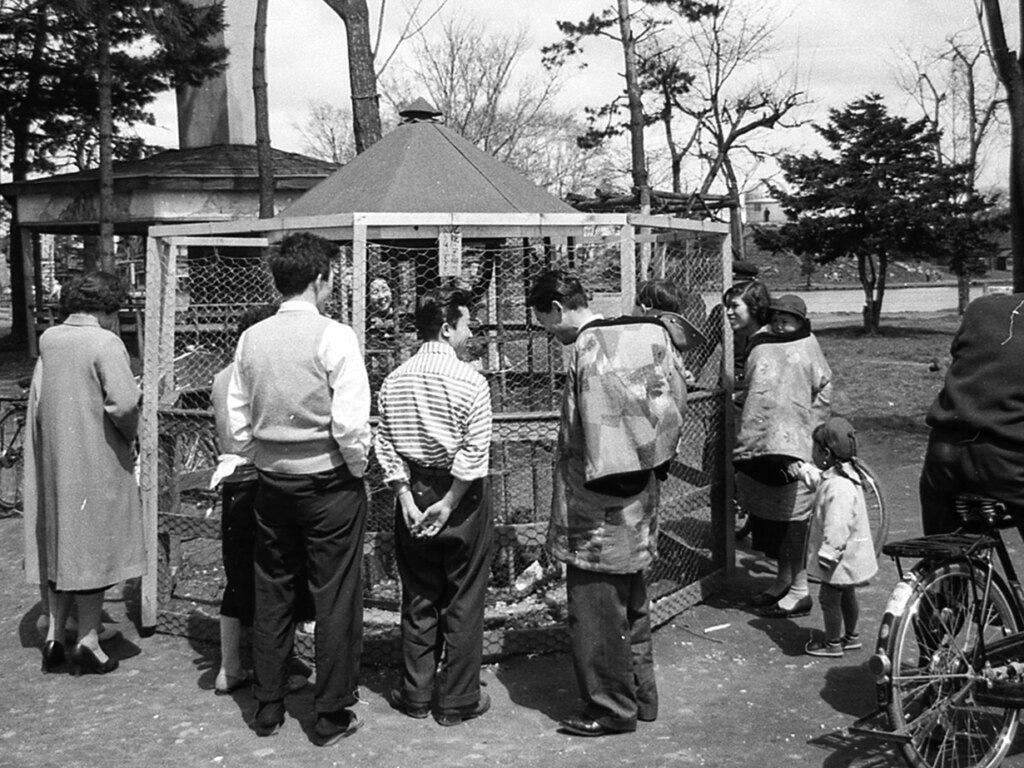 サルのおり(年代不詳・旭川市中央図書館蔵)中央下寄りにニホンザルの姿が見えます