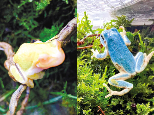 おとなりさんにもご注目