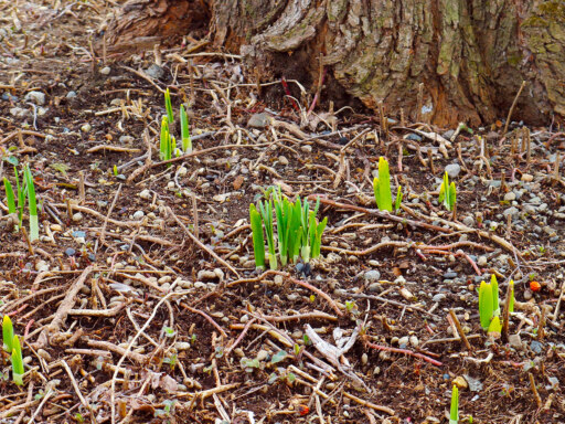 変わっていく姿、見届けてね