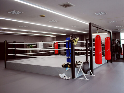 フィットネス×総合格闘技新スタイルのジム誕生
