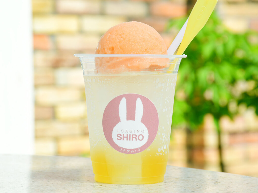 コイウサ 680円