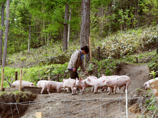 地元資材を生かしブランド豚づくりに挑戦