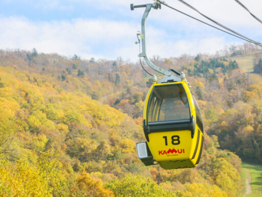 ハート連なる可憐な釣り竿
