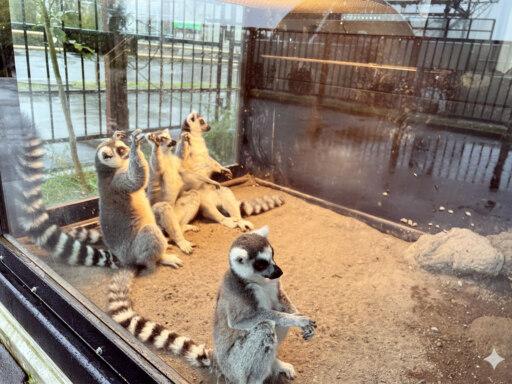 秋のHOTなスポット