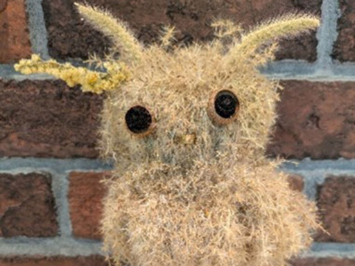 冬支度を終えてひと休み