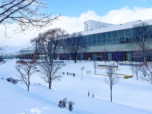 植物まもる、雪のおふとん