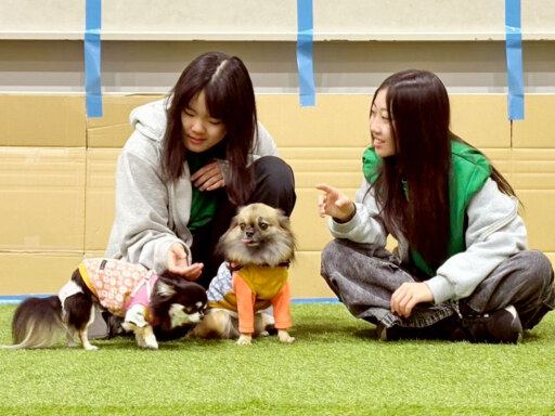 新しい家族みつけよう♡出会いつなぐ譲渡会