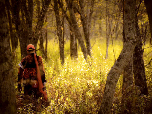 ハンターの世界、身近に今週末に狩猟フェア