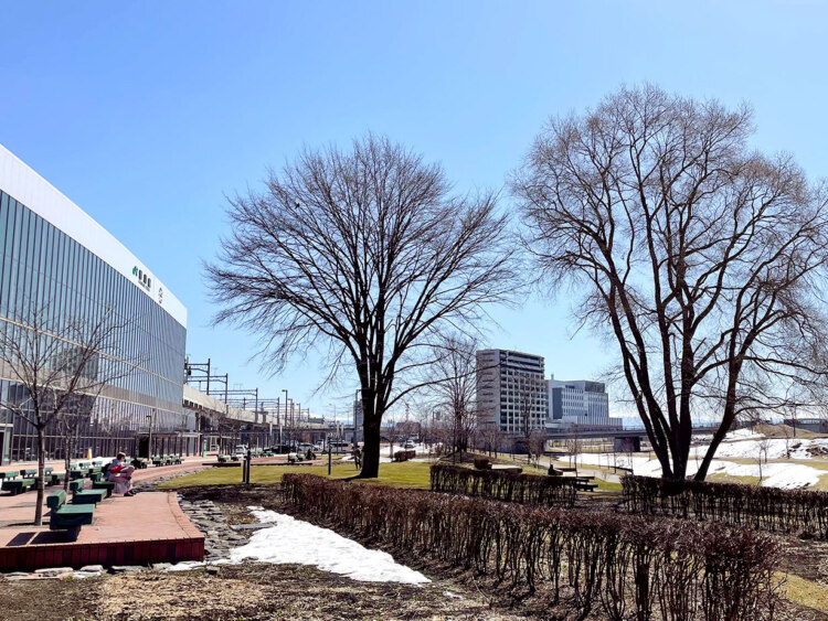 植物たちの芽出し、見守って