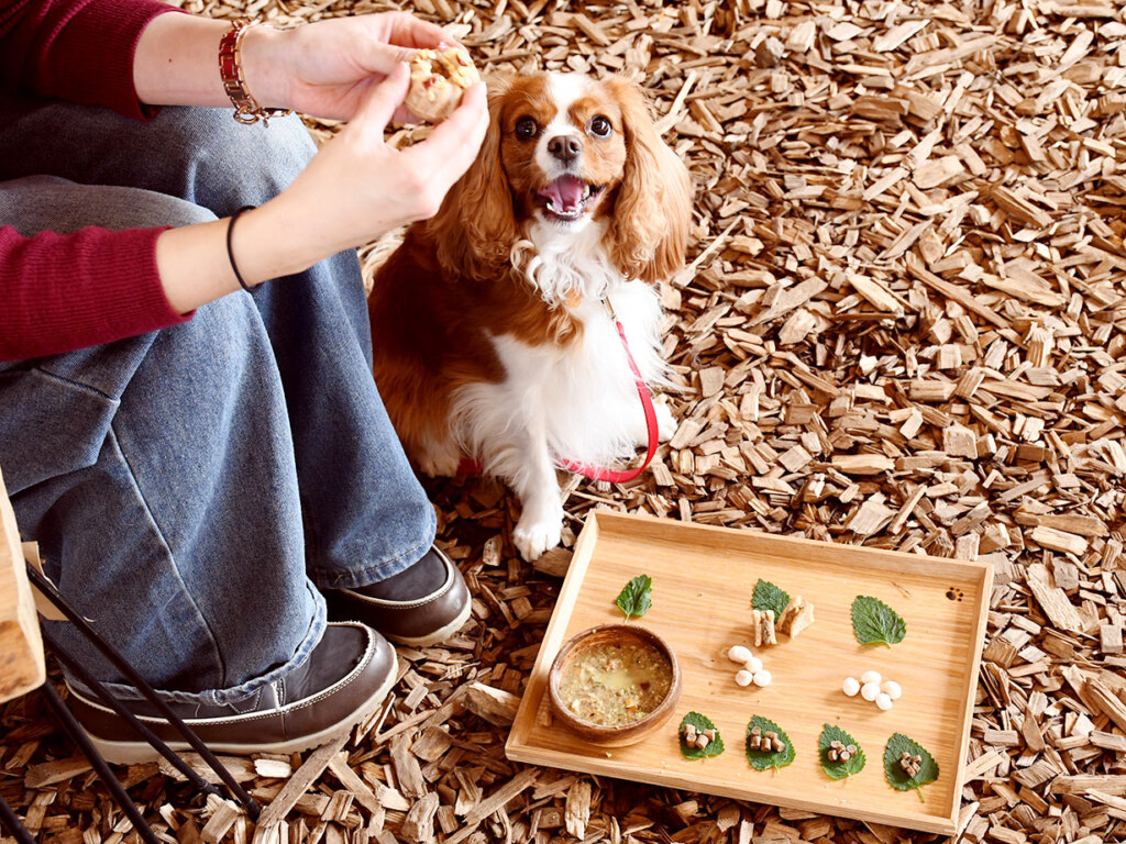 「ライナー見たよ」で500円以上のお会計で100円引<br /><br />
R8.5.5まで有効 ※1組1回有効