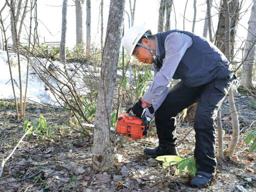 さらば、愛しきジャングル　～俺たち・私たちの庭じまい～