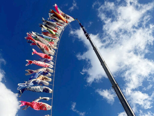 大迫力！55匹が大遊泳