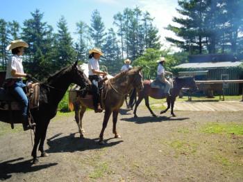 クラークホースガーデン