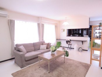 インキュア痩身マシン（全身60分）＋耳つぼカウンセリング4,800円